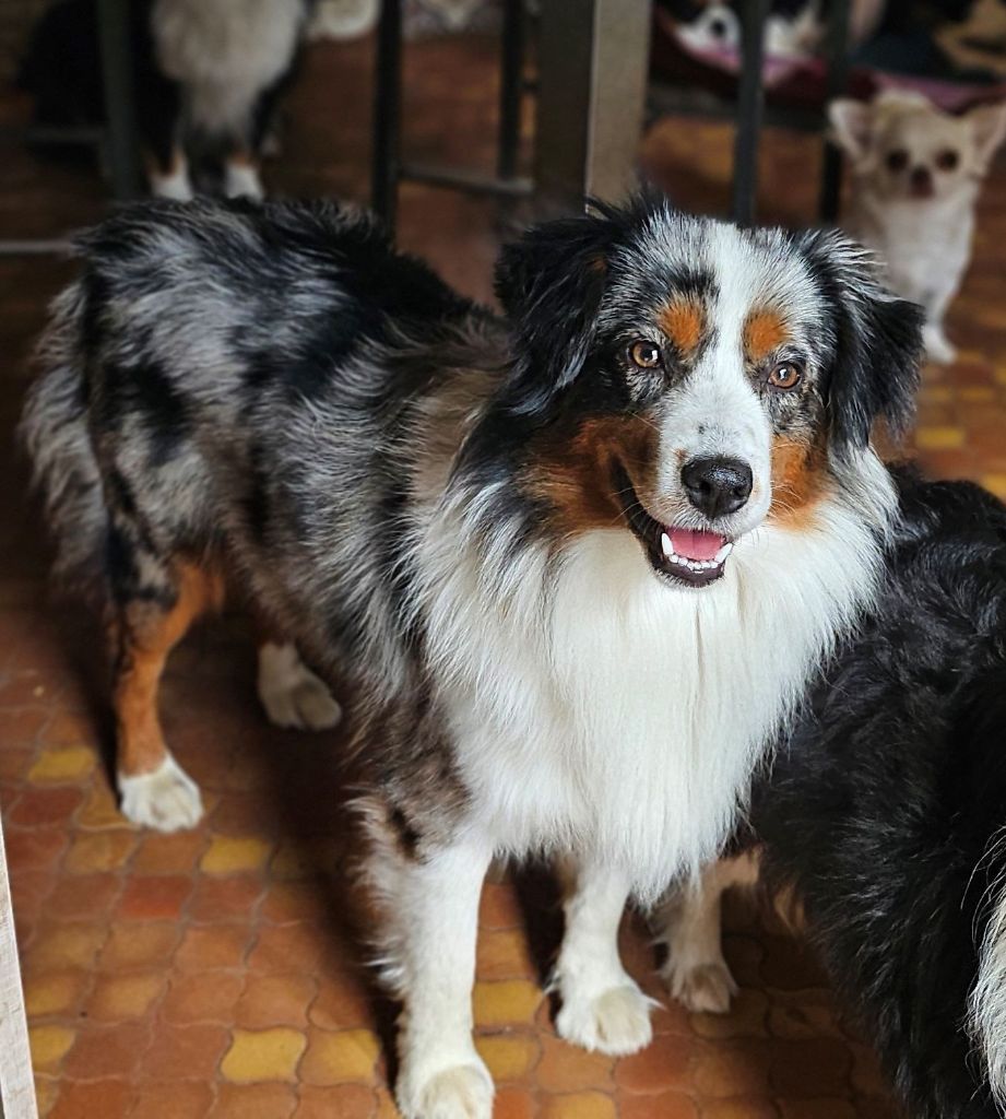 Oh my god des soldats de krist ale