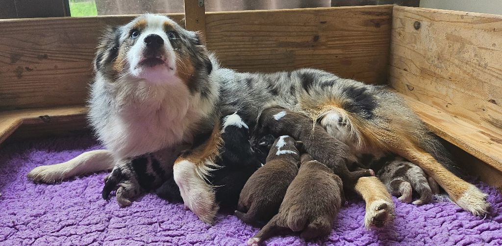 Isiwun U the best or nothing