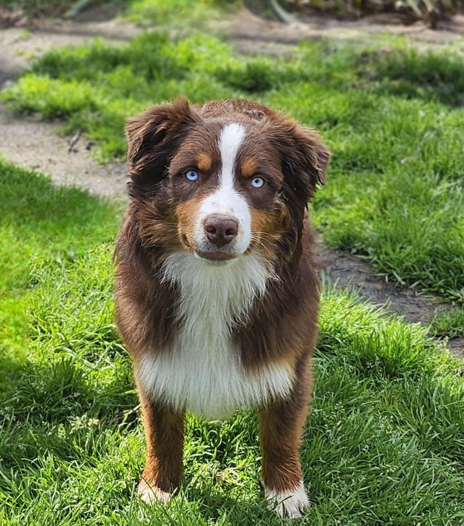 Vendee globe baloo du petit Duc Victoria