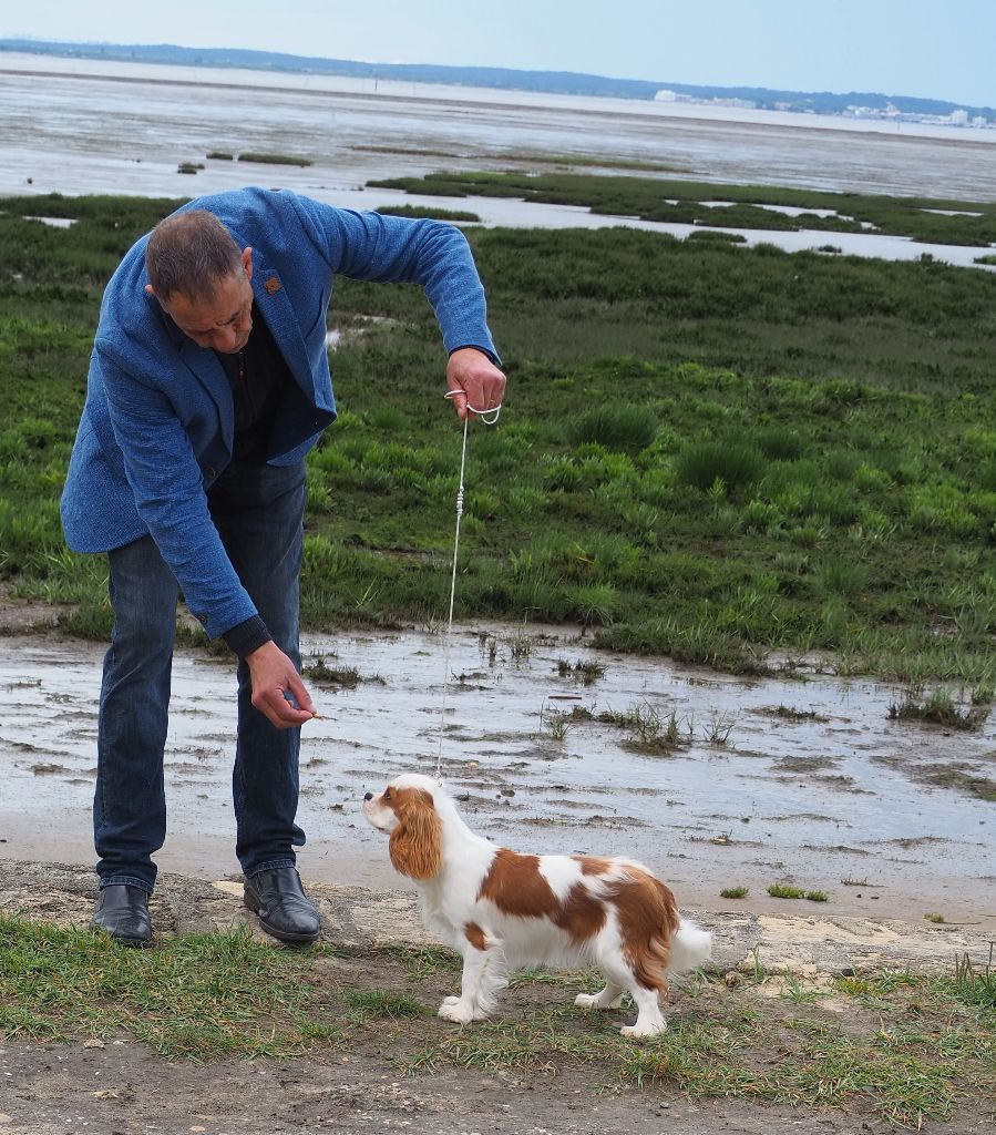 Unique Of little by little